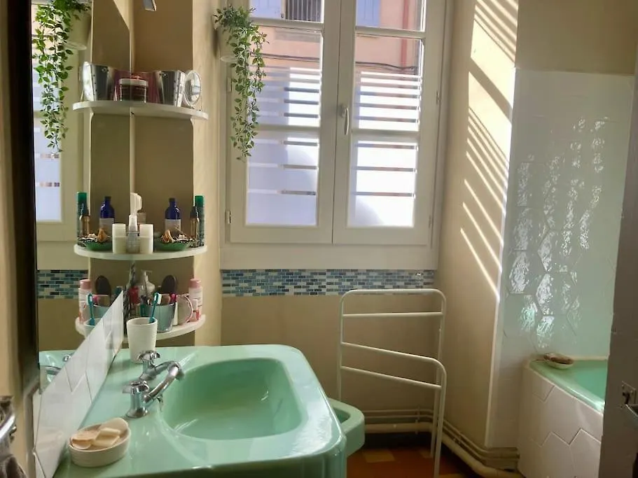 Apartment Appartement Ancien Le Mas-d'Azil