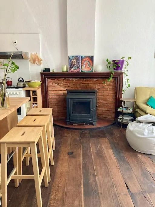 Appartement Ancien Le Mas-d'Azil Apartment